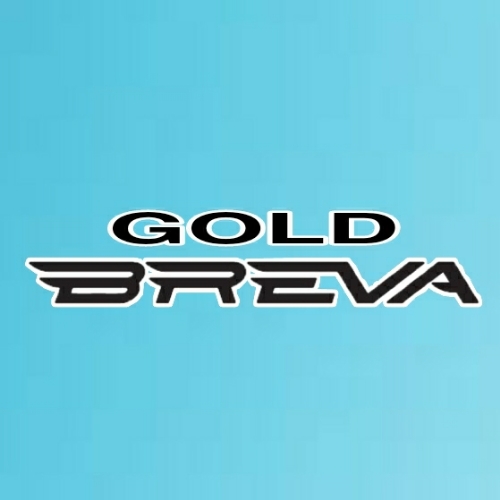 store logo